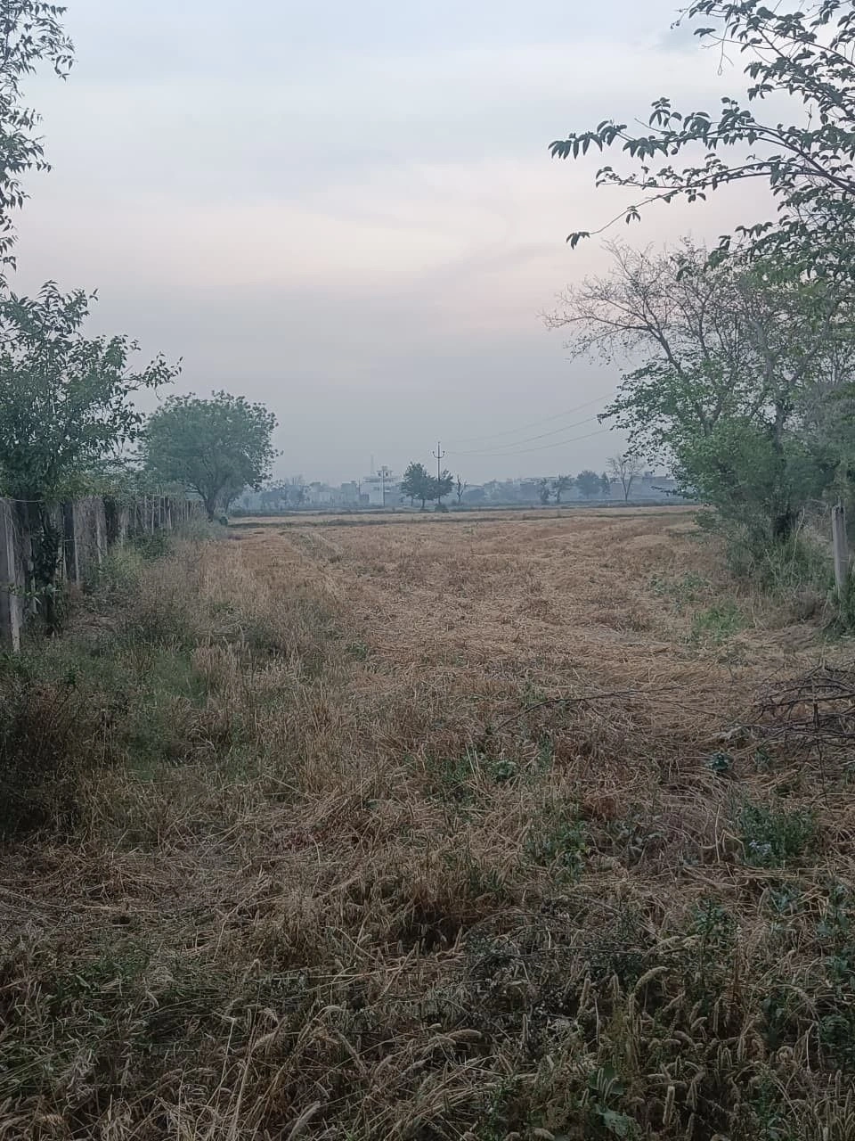 Bilond, Rajasthan 321022, India preview 2