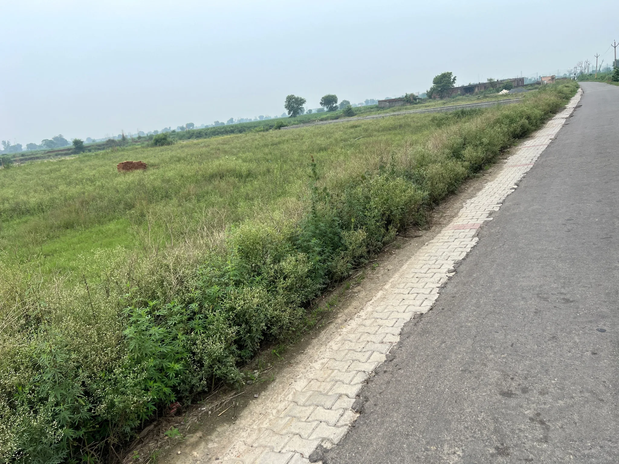 Modinagar, Uttar Pradesh, India