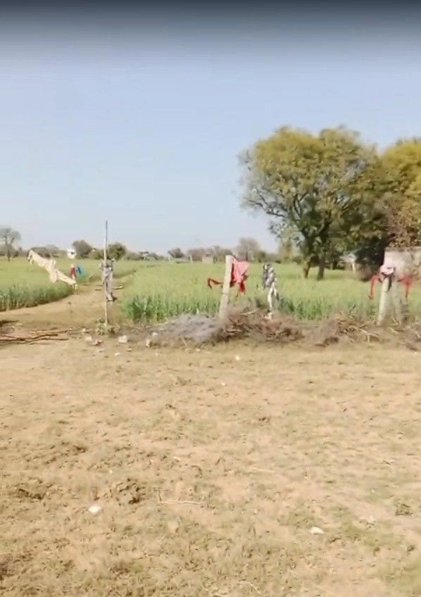 PQVV+359, Badanpura, Jaipur, Rajasthan 302029, India