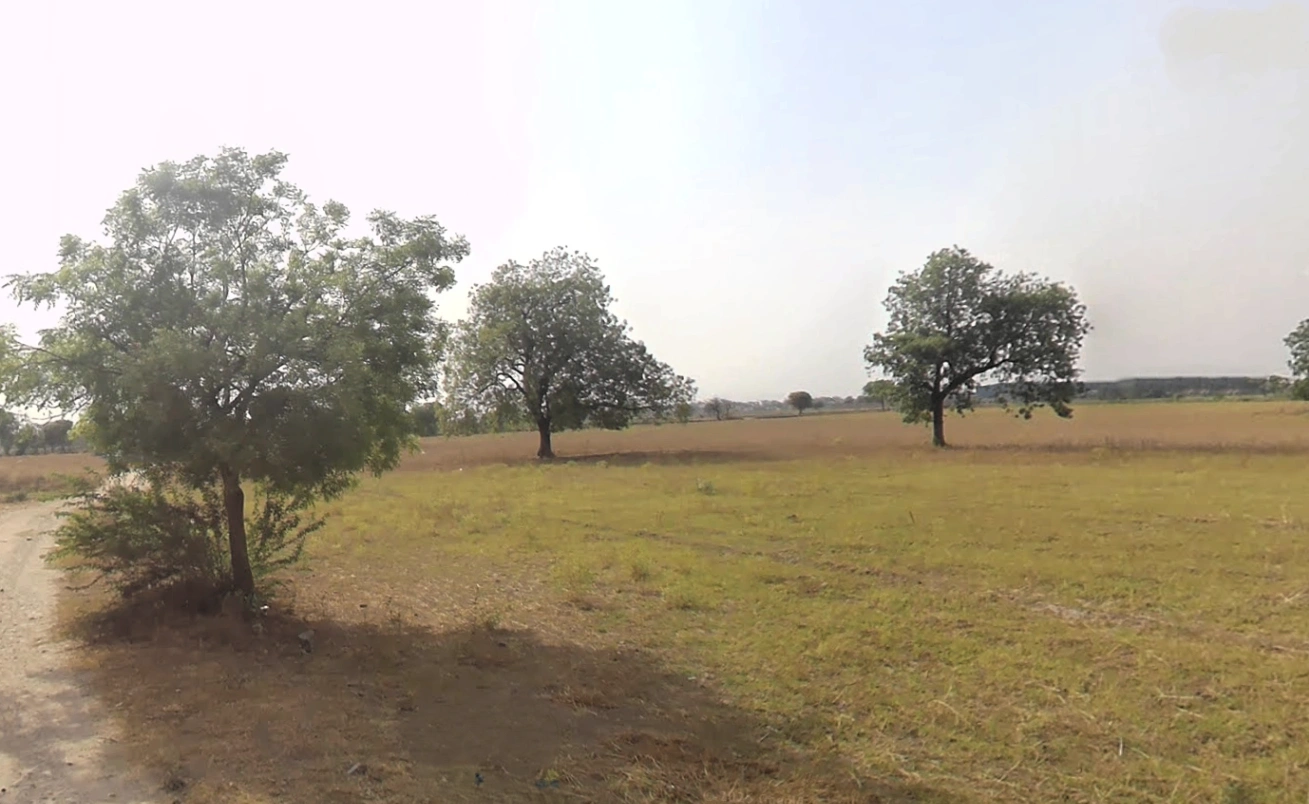 Pirthla, Haryana, India