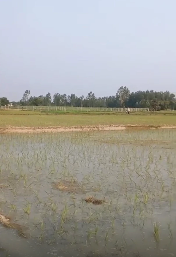 Chamrawal, Baghpat, Uttar Pradesh, India