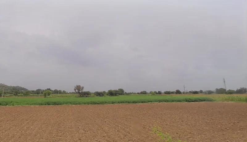 Dholera, Gujarat 382455, India preview 3