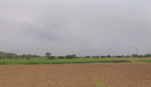 Dholera, Gujarat 382455, India preview 3