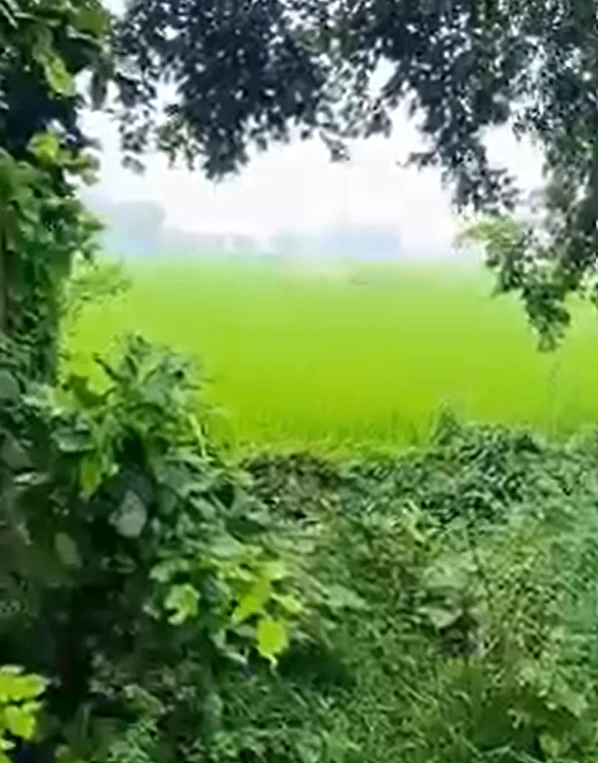 Najibabad, Bijnor, Uttar Pradesh 246763, India