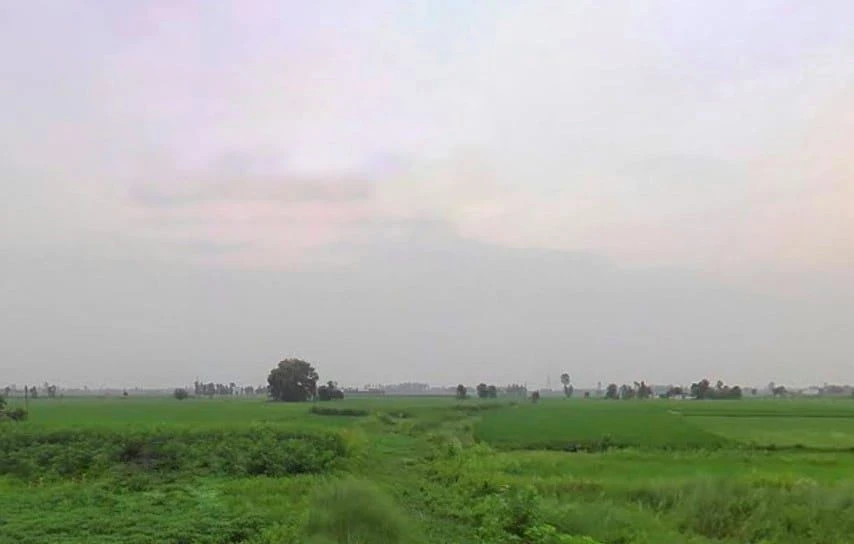 Puranpur, Uttar Pradesh 262122, India