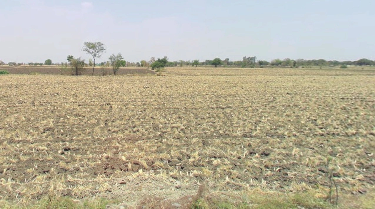 Hatpipliya, Madhya Pradesh 455223, India