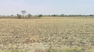Hatpipliya, Madhya Pradesh 455223, India preview 2