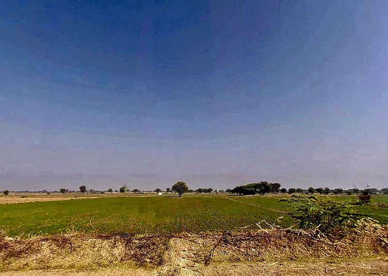 Naraina, Rajasthan 303348, India preview 2