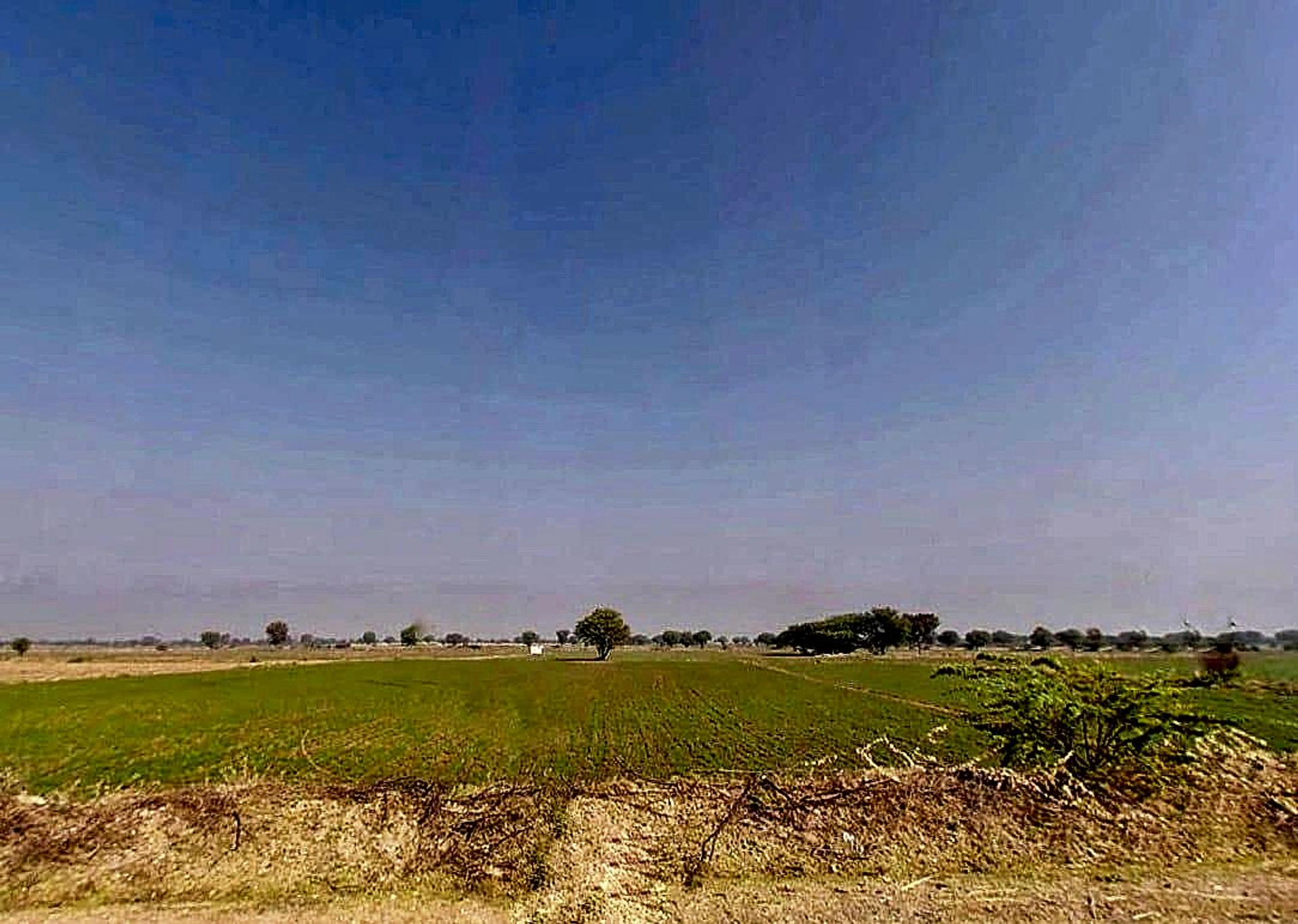 Naraina, Rajasthan 303348, India