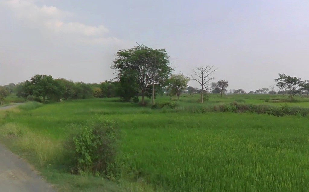 Odka, Chhattisgarh 493441, India