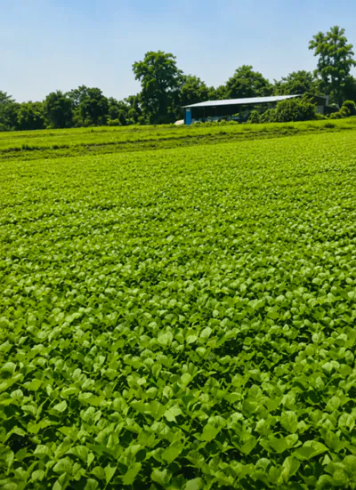 Thakurdwara, Moradabad, Uttar Pradesh 244601, India preview 2