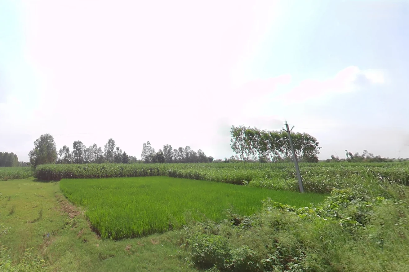 Bhagwanpur, Uttarakhand 247661, India preview 3