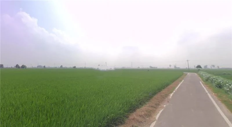 9X6C+QJG, Dalod, Gujarat 382130, India