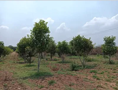 Sira, Karnataka 572137, India preview 3