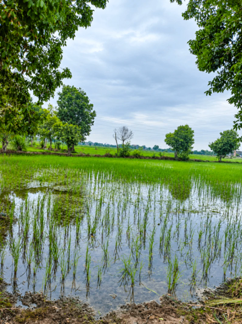 Obra, Sonbhadra, Uttar Pradesh, India