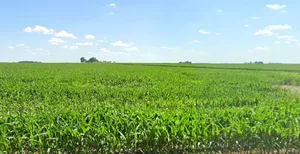 Marepally, Telangana 502306, India preview 2