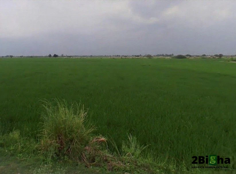 Ajgain, Uttar Pradesh, India