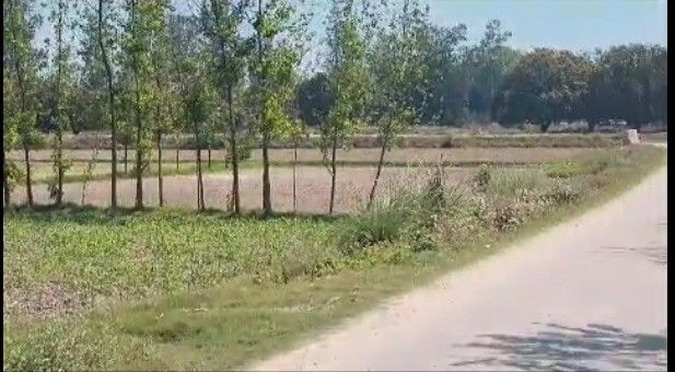 Pilkhana, Uttar Pradesh, India