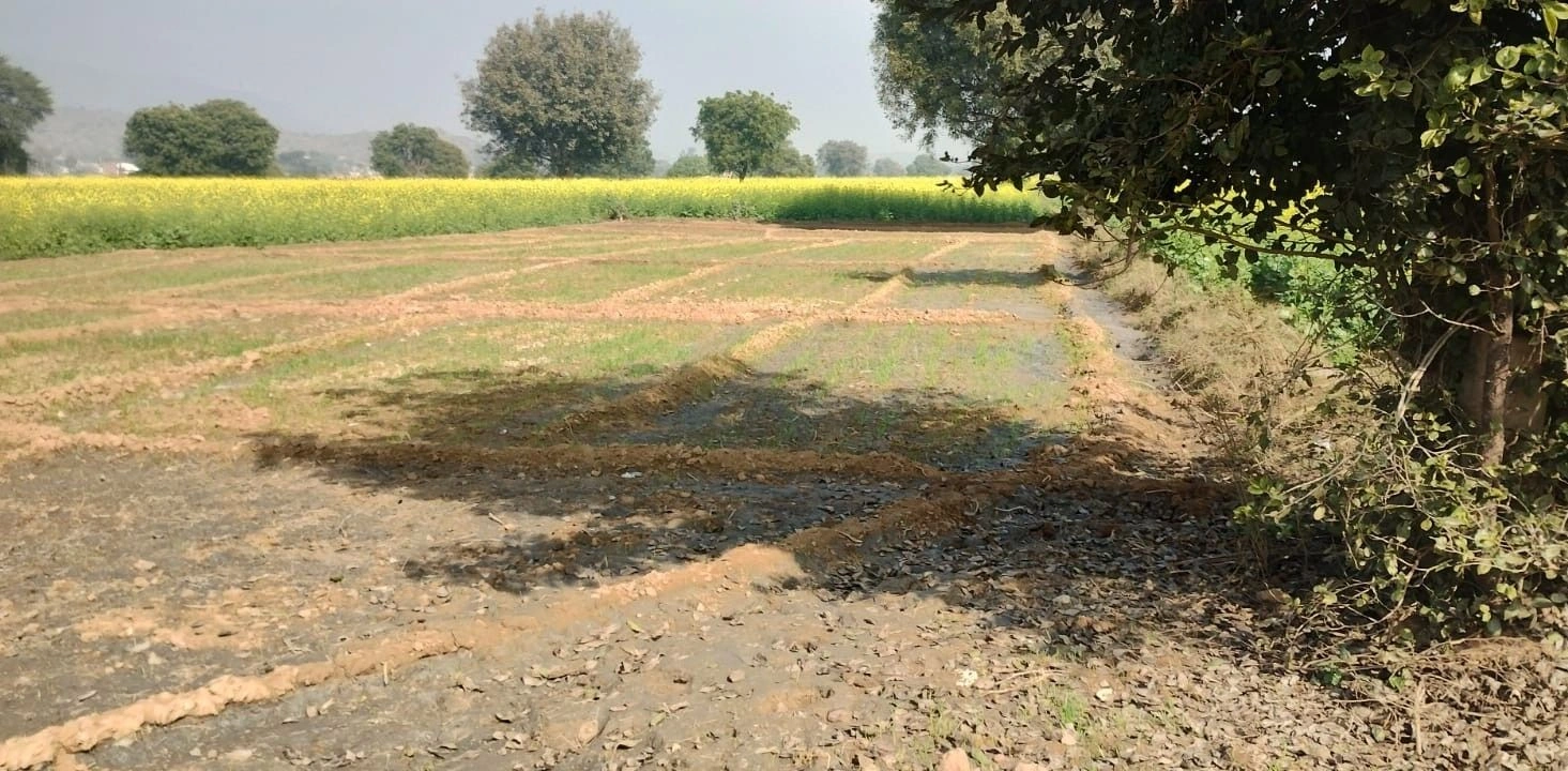 Kishanpur, Rajasthan 301001, India