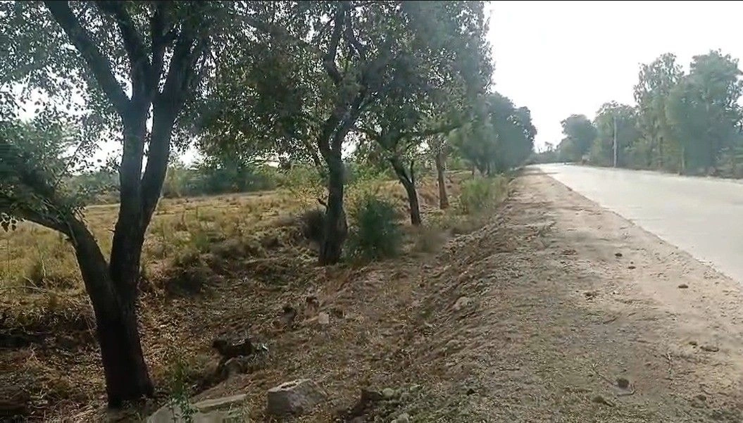 Falna, Rajasthan, India preview 2