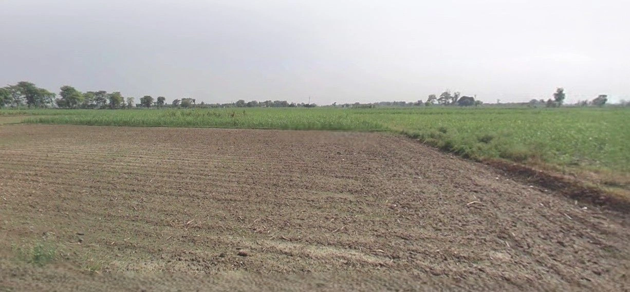 Sardhana, Uttar Pradesh 250342, India