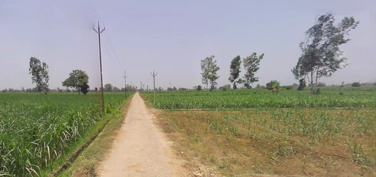 Najibabad, Uttar Pradesh 246763, India
