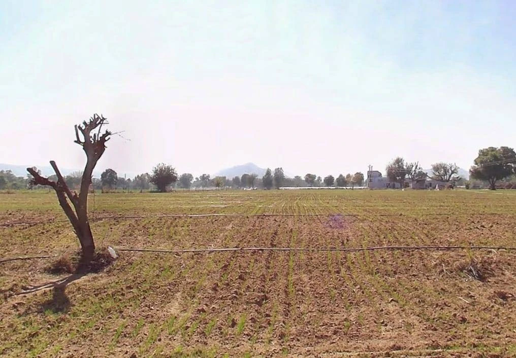 Med, Rajasthan 303003, India