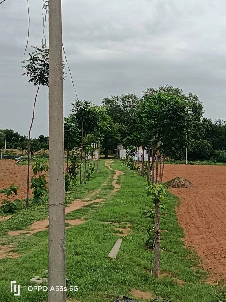 H54J+GM Daulatpura, Rajasthan, India preview 3