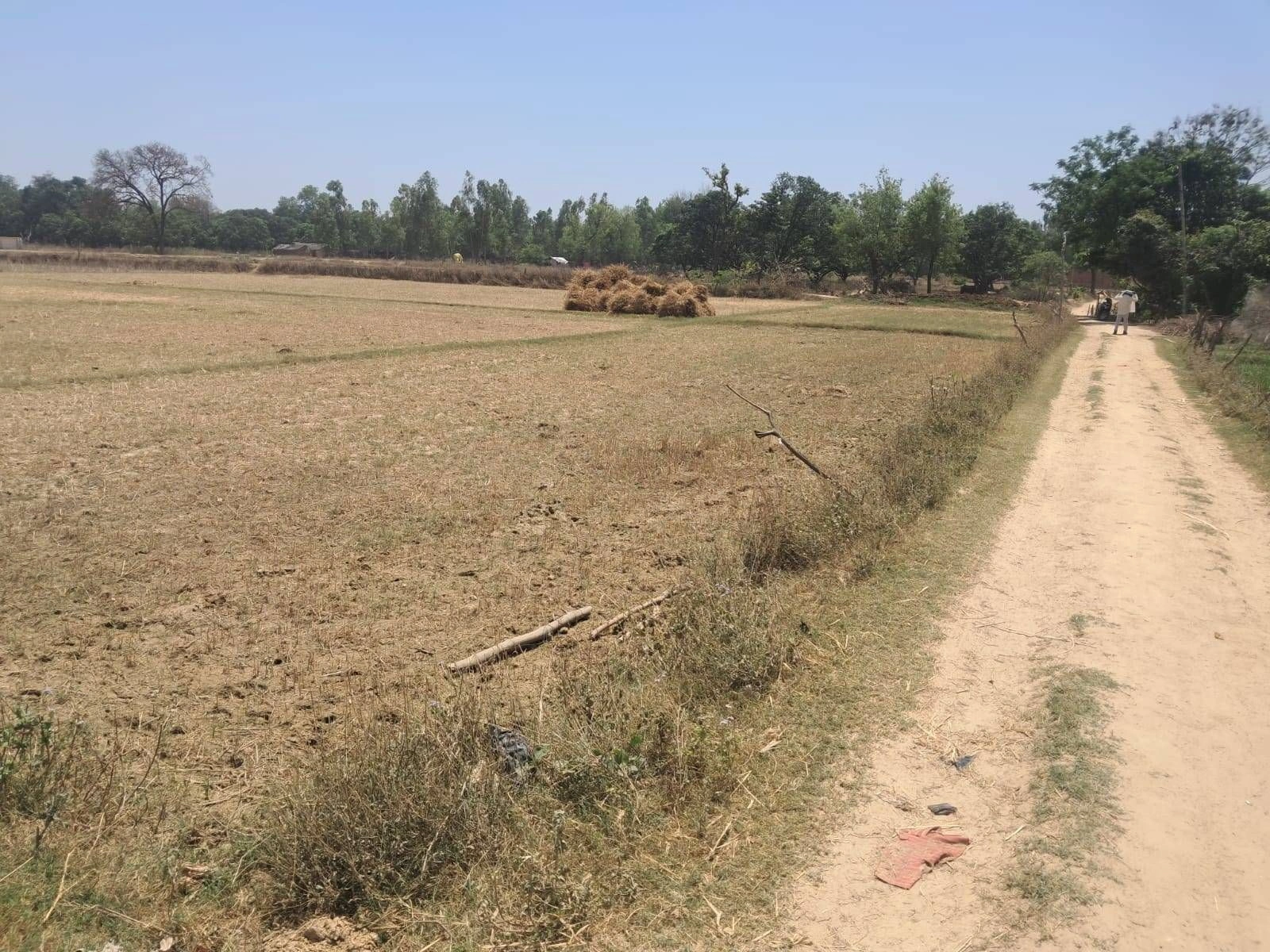 Deo Ka Harwara, Rajasthan 303104, India