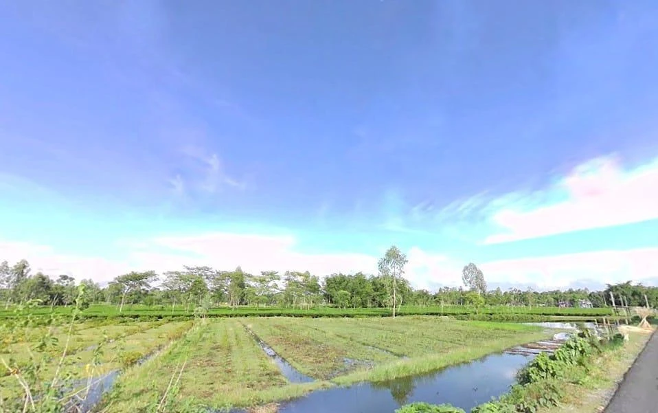 Siliguri, West Bengal, India