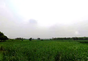 98HG+277, Salfa, Uttar Pradesh 247775, India preview 2