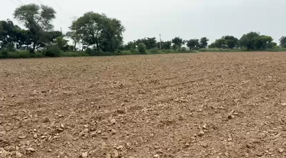 Zahidpur, Jhajjar, Haryana 124103, India