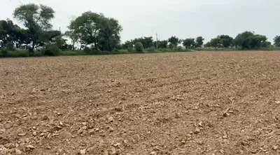 Zahidpur, Jhajjar, Haryana 124103, India preview 2