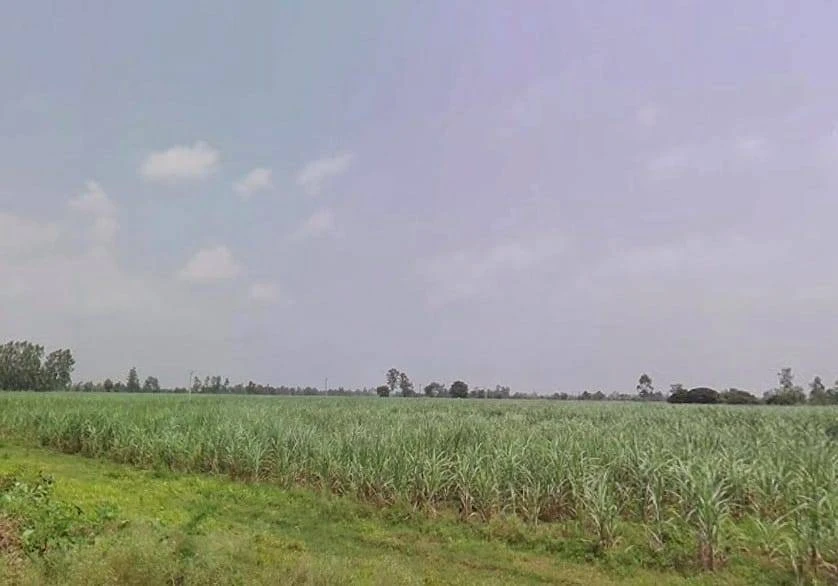 7772+J8C, Hitauta, Hitauti, Uttar Pradesh 242405, India