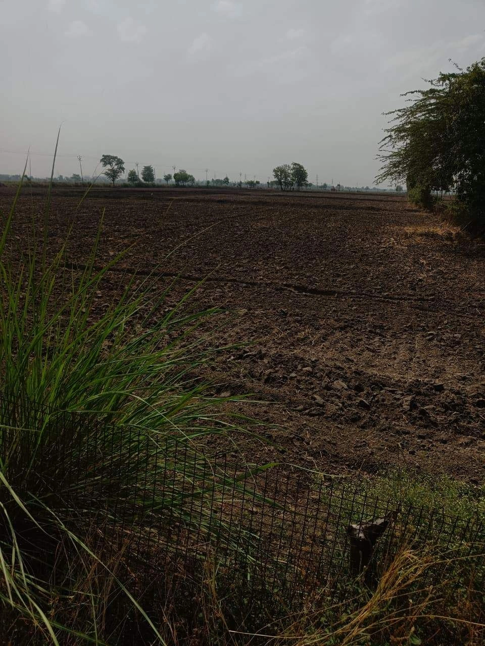 Shahpura, Rajasthan 303103, India preview 3