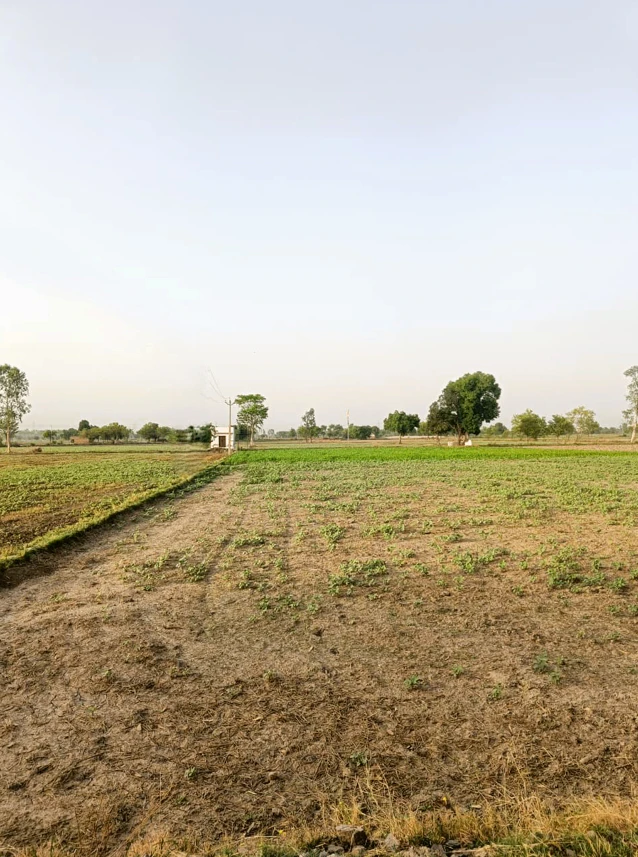 Nilokheri, Haryana 132117, India