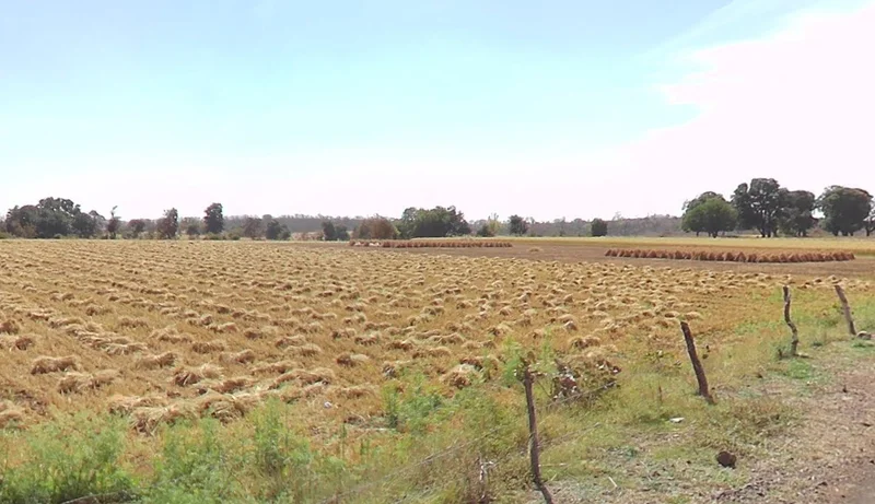 Indokh, Madhya Pradesh 456441, India preview 2