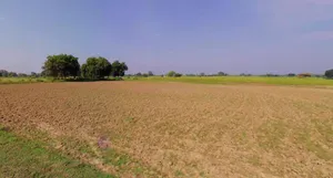 Sitapur, Uttar Pradesh, India preview 3