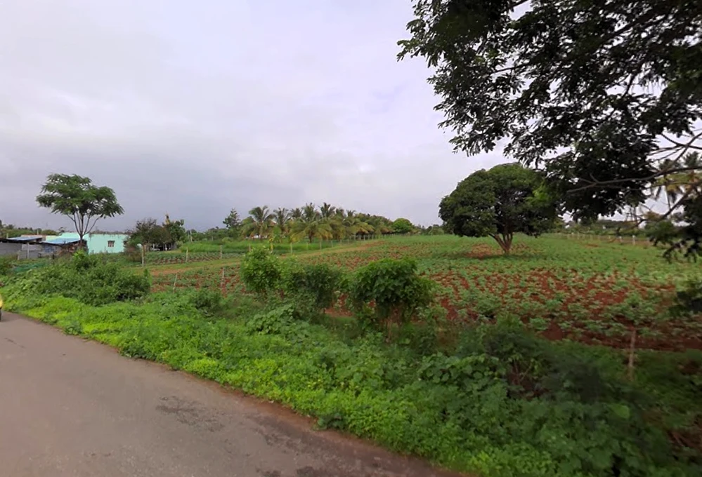 Heggadadevankote, Karnataka 571114, India