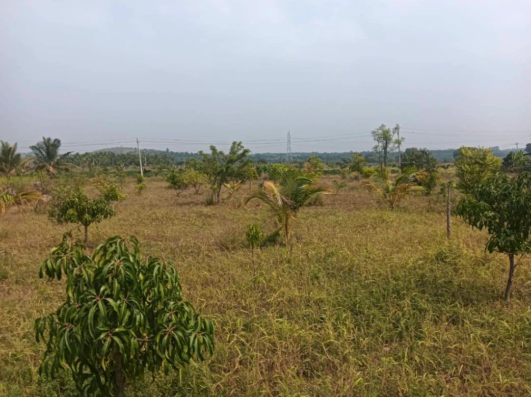 Sira, Karnataka 572137, India preview 2