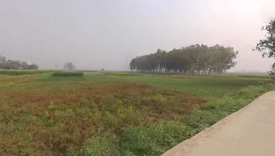 Belghoria, Kolkata, West Bengal, India preview 3