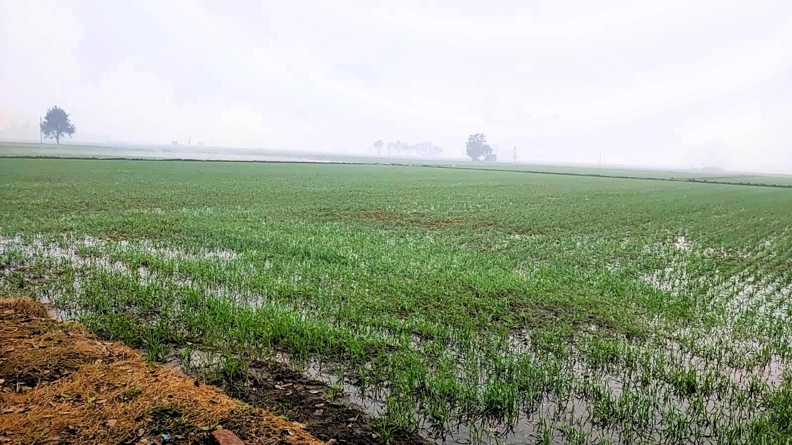 Rangrooti Khera, Haryana 132039, India