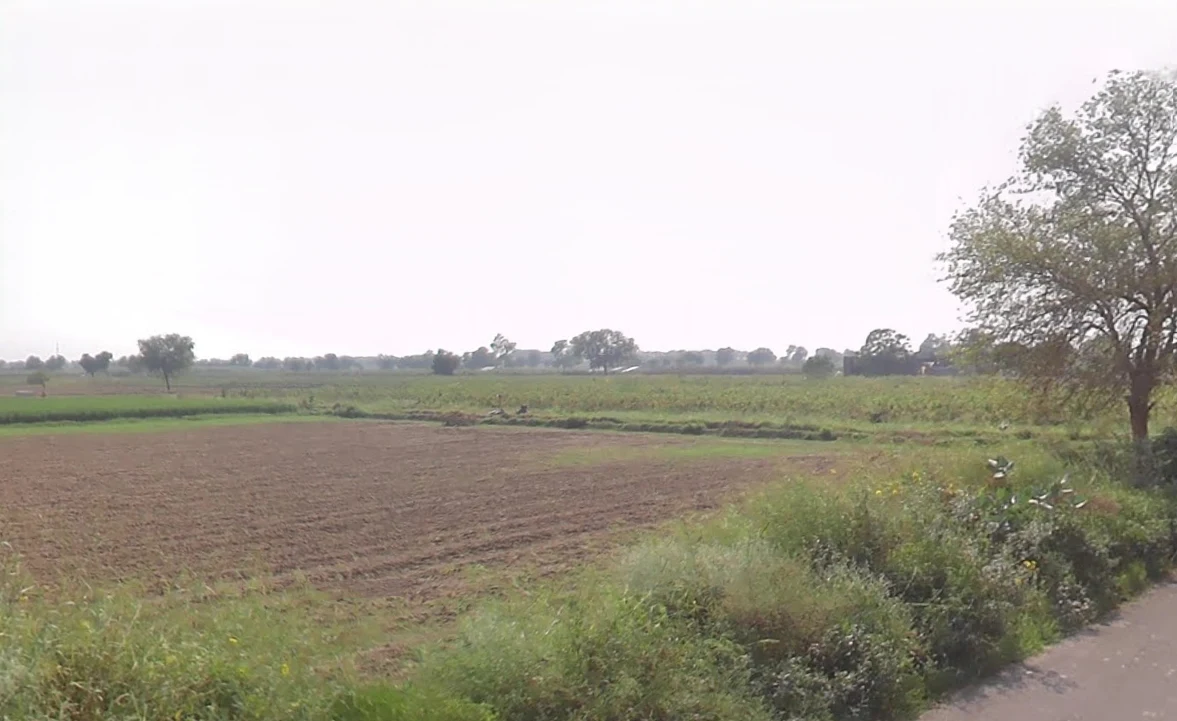 Khabran Kalan, Haryana 125053, India