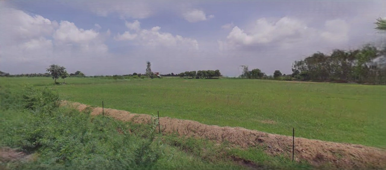 Shajapur, Madhya Pradesh 465001, India