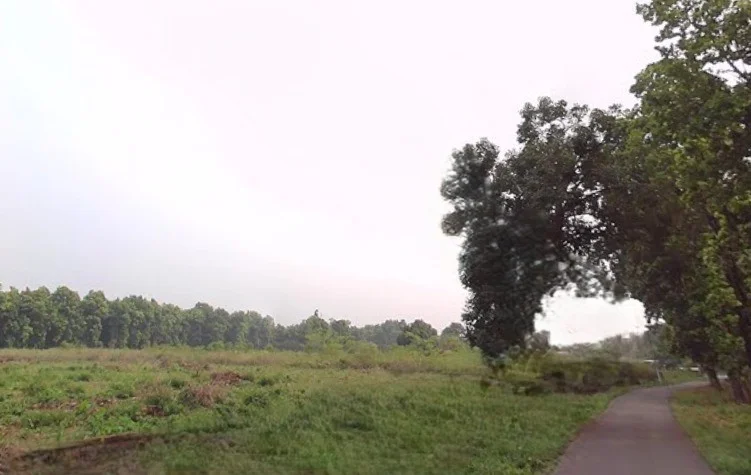 Manduwala, Naugaon, Uttarakhand 248007, India preview 3