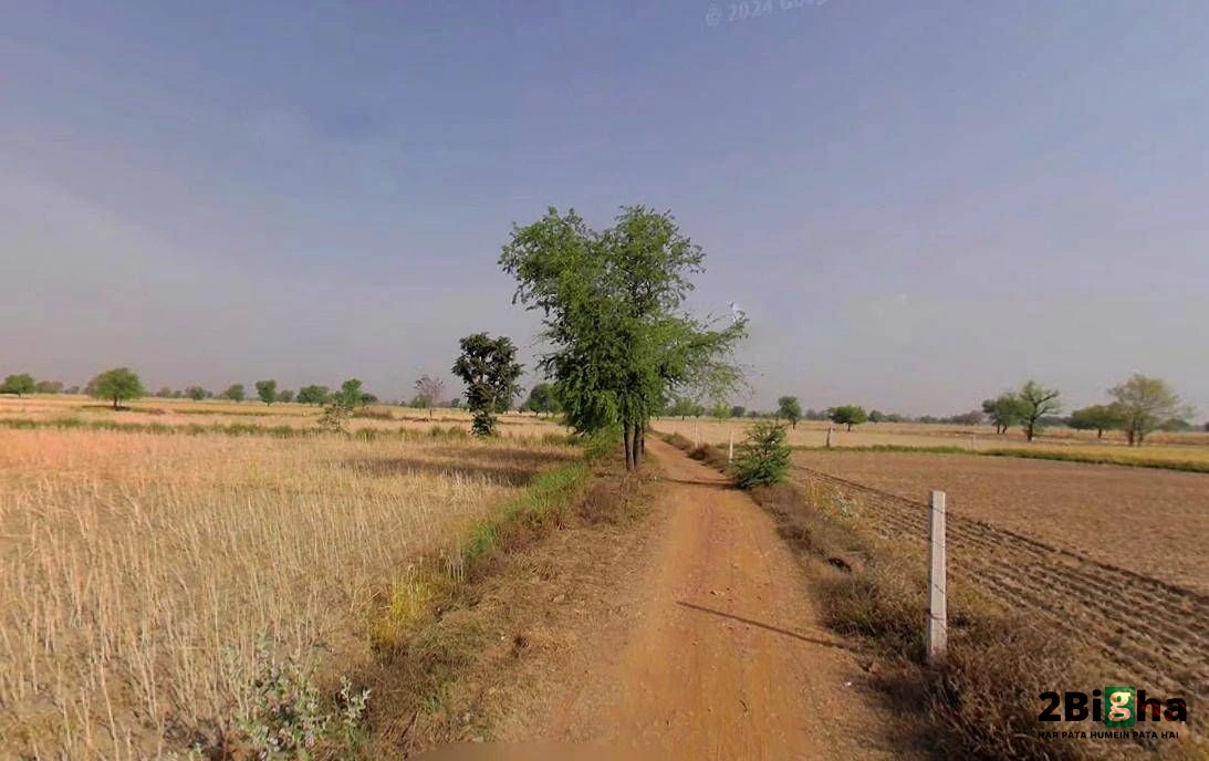 Chhatarpur, Madhya Pradesh 471001, India