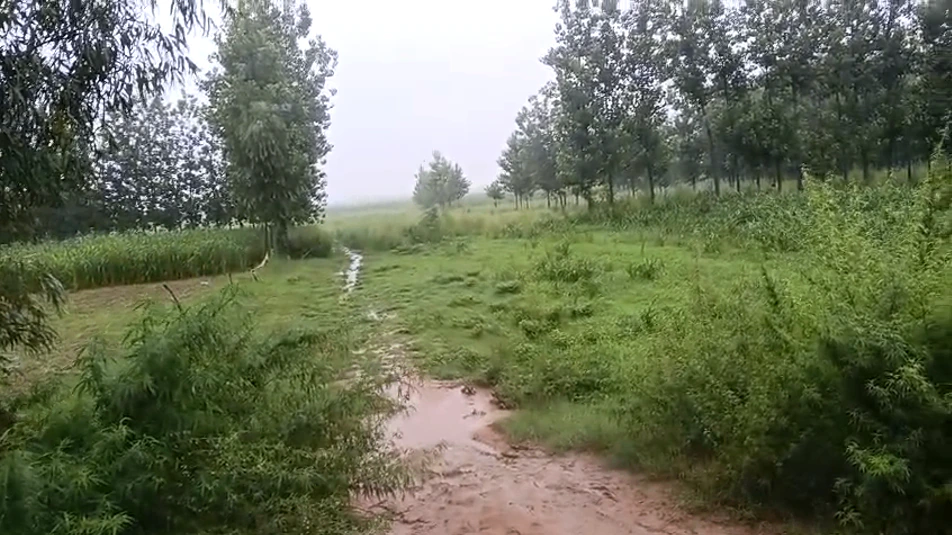 Manikpur, Chitrakoot, Uttar Pradesh 210208, India