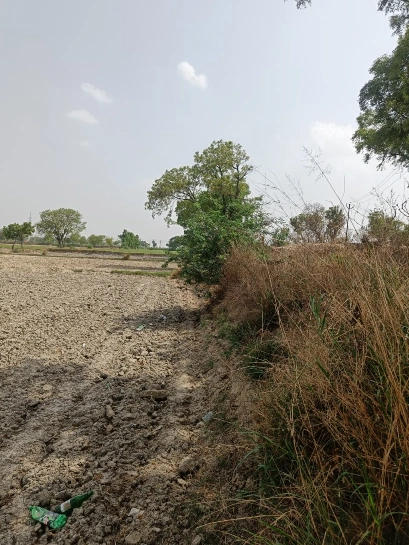 Simiriya Tanka, Madhya Pradesh 475330, India