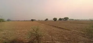 Bahadurgarh, Haryana, India preview 3