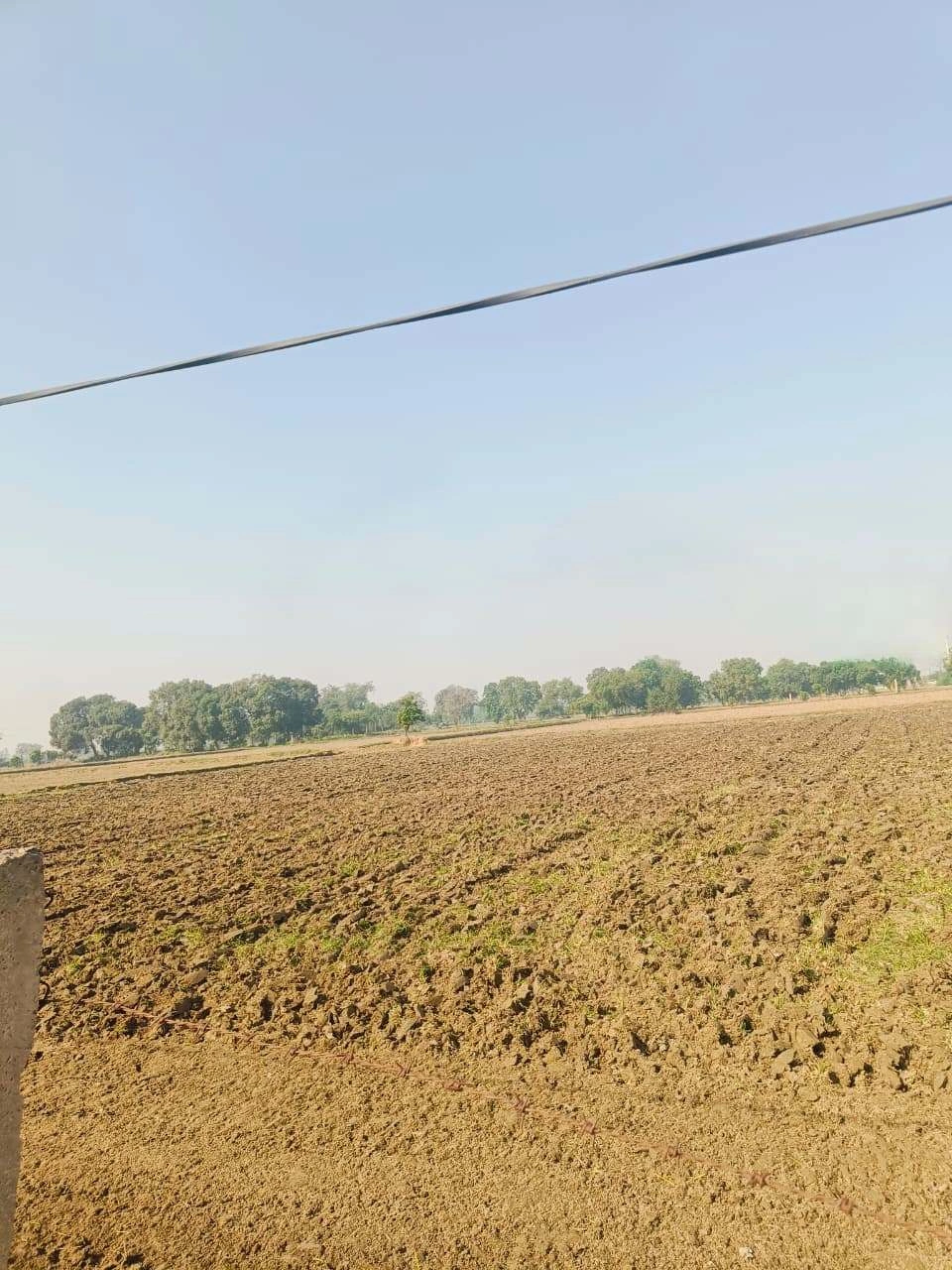 Basai, Mathura, Uttar Pradesh 281501, India - Photo 2